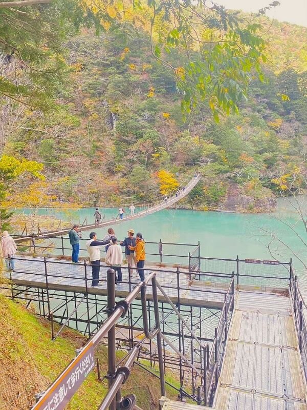 【2024年版】静岡県の紅葉の名所をご紹介！東部・中部・西部エリア別の絶景スポット見頃の時期ライトアップ (1).jpg