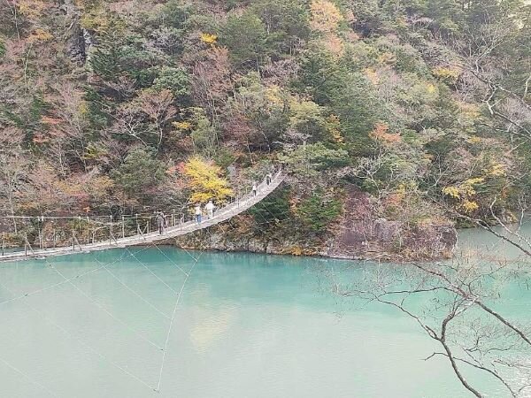 【2024年版】静岡県の紅葉の名所をご紹介！東部・中部・西部エリア別の絶景スポット見頃の時期ライトアップ (4).jpg