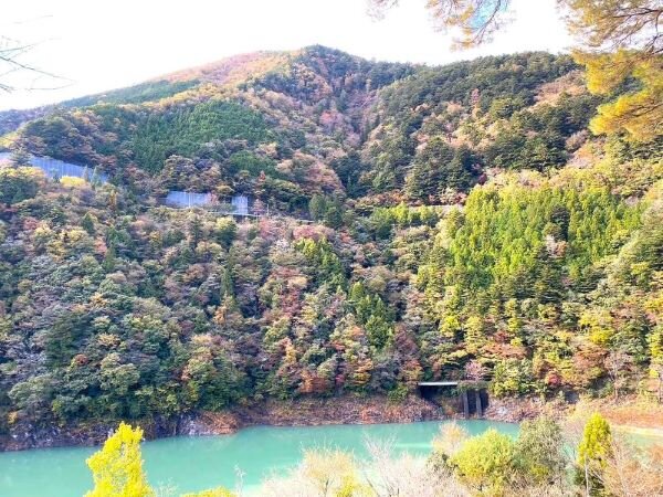 【2024年版】静岡県の紅葉の名所をご紹介！東部・中部・西部エリア別の絶景スポット見頃の時期ライトアップ.jpg