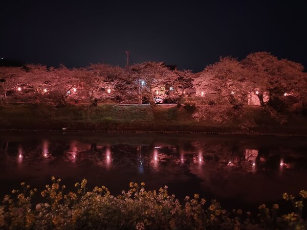 makinohara (1).jpeg