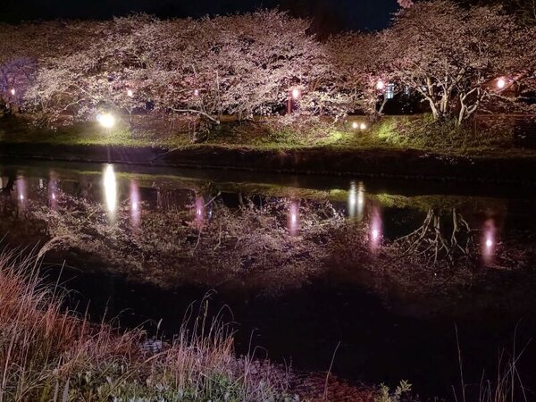 makinohara (6).jpg